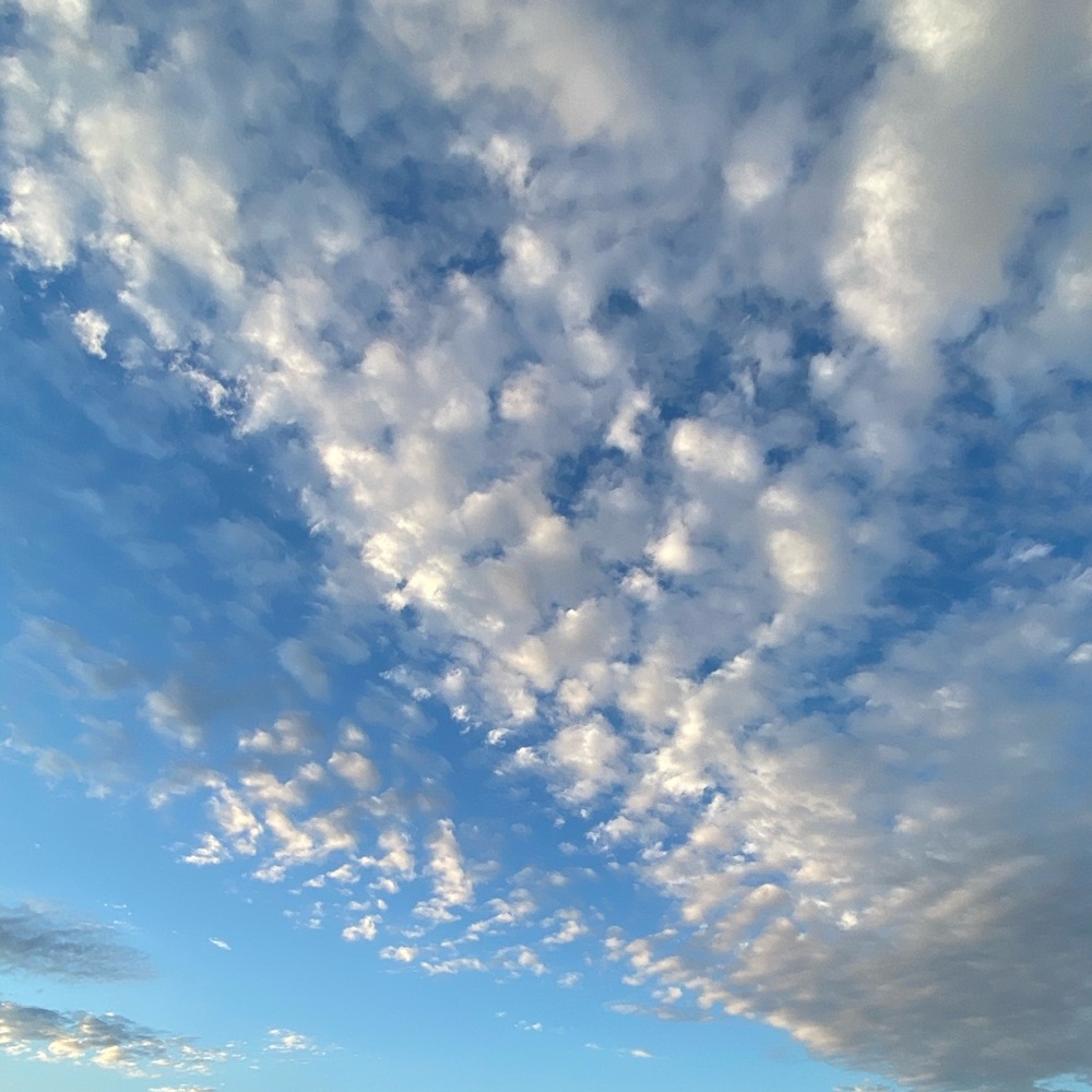 Meet your Posher, Mona